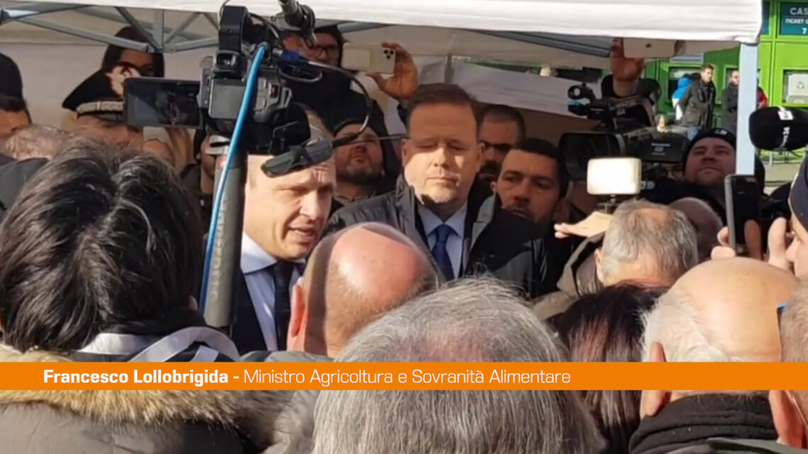 Agricoltura, Lollobrigida “In Europa passato modello sbagliato” Agricoltura, Lollobrigida “In Europa passato modello sbagliato”