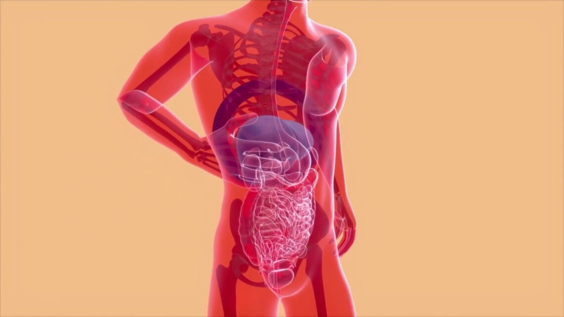 Reflusso gastroesofageo, una patologia da non sottovalutare Reflusso gastroesofageo, una patologia da non sottovalutare