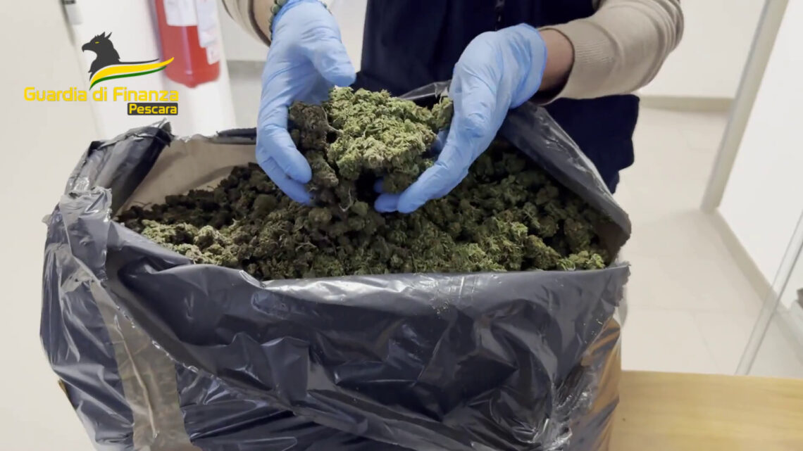 Pescara, sequestrati 4 kg di marijuana e una pistola Pescara, sequestrati 4 kg di marijuana e una pistola