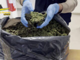Pescara, sequestrati 4 kg di marijuana e una pistola