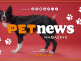 PetNews Magazine – 28/2/2024