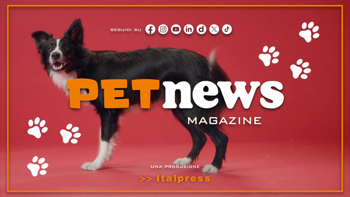 PetNews Magazine – 13/2/2024 PetNews Magazine – 13/2/2024