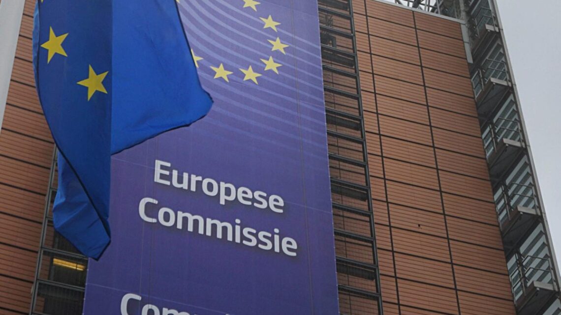 Ue, dalla Commissione una proposta per la “laurea europea” Ue, dalla Commissione una proposta per la “laurea europea”