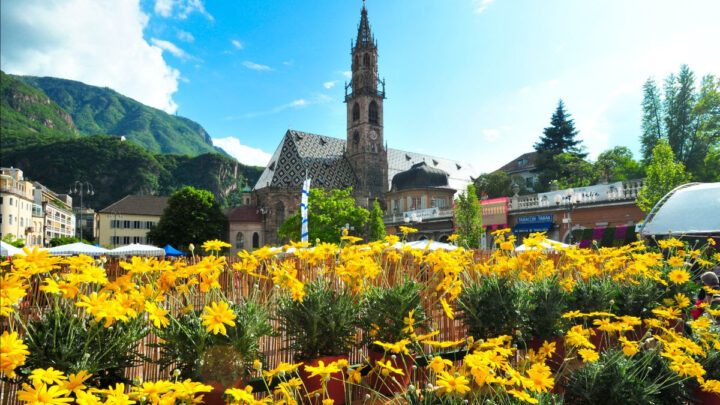 Fiori, visite guidate ed eventi gourmet: ecco la primavera di Bolzano