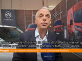 Peugeot “Offensiva Stellantis nel settore dei veicoli commerciali”