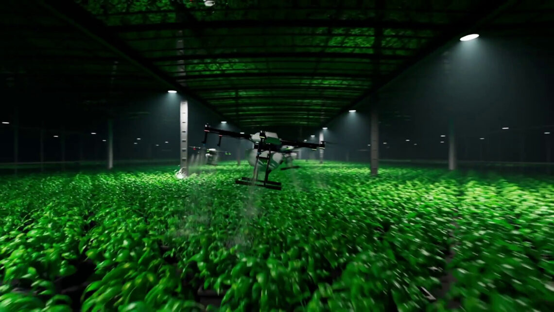 L’intelligenza artificiale si fa strada nell’industria alimentare L’intelligenza artificiale si fa strada nell’industria alimentare