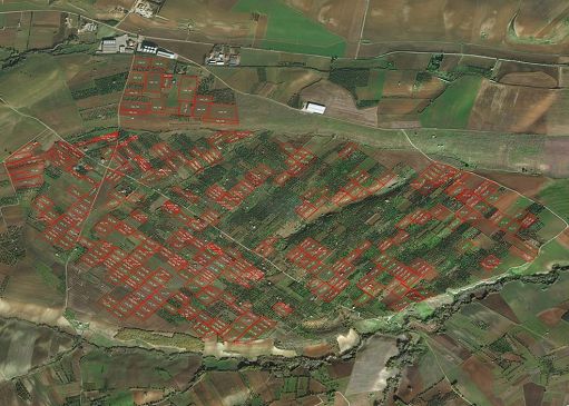 Cantina di Venosa a Vinitaly con vini da uve monitorate da satellite