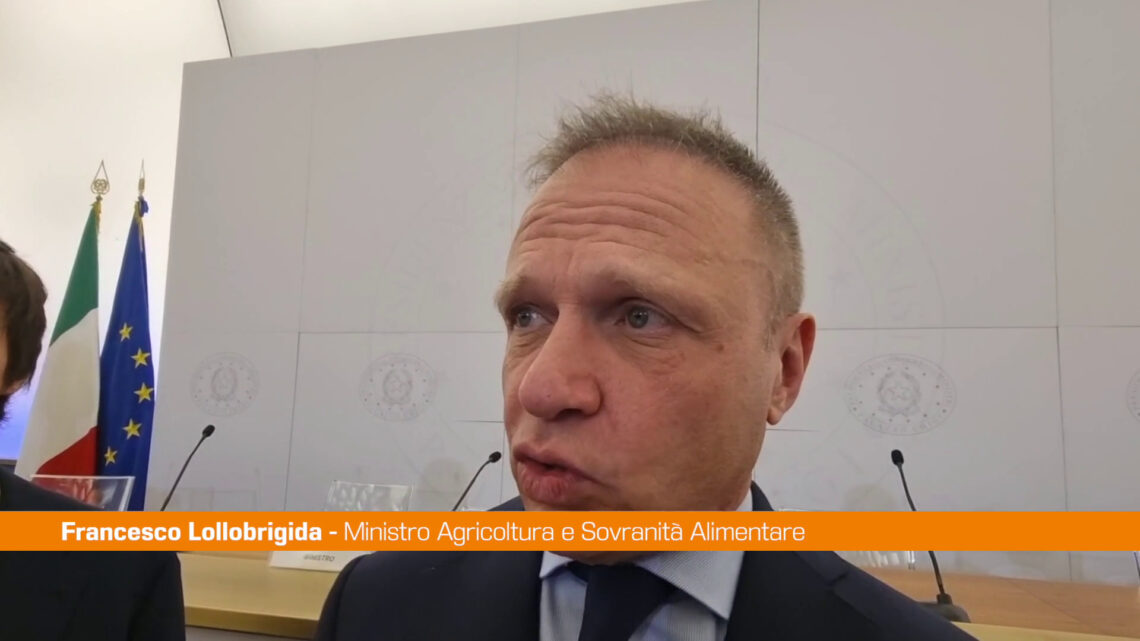 Agroalimentare, Lollobrigida “Italia eccellenza sui controlli” Agroalimentare, Lollobrigida “Italia eccellenza sui controlli”