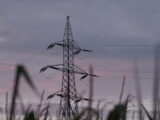 Elettricità, quotazioni internazionali a livelli pre-Covid