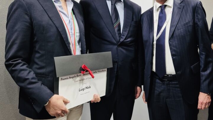 Vinitaly 2024, Ferrocinto: Il padiglione unico dei vini calabresi aiuta il brand Calabria