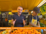 Pecoraro “Giornata del Made in Italy sia anche festa dell’ortofrutta”