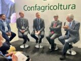 Filiera del pomodoro da industria, il nuovo progetto di Mediterranea