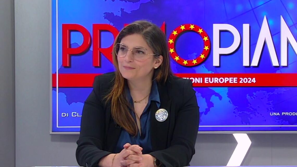 Ue, Castelli “Esercito comune solo dopo una diplomazia comune” Ue, Castelli “Esercito comune solo dopo una diplomazia comune”