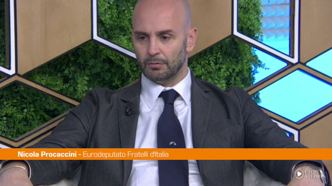 Ue, Procaccini “Persa competitività per follia pseudo-ambientalista” Ue, Procaccini “Persa competitività per follia pseudo-ambientalista”