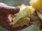 Torna il Gastrotrekking 4.0 del Gruppo Avventura a Verbicaro: tutto pronto per il 2 giugno.