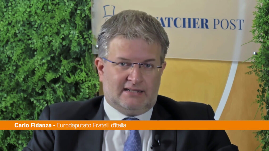 Ue, Fidanza “Regole non devono frenare competitività imprese” Ue, Fidanza “Regole non devono frenare competitività imprese”