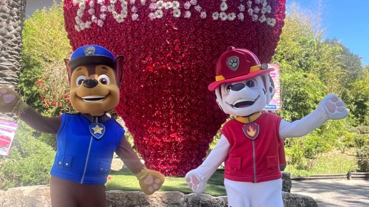 Eroi a 4 zampe. Chase e Marshall di Paw Patrol a Zoomarine insieme ai volontari della Protezione Civile per imparare a difendere l’ambiente