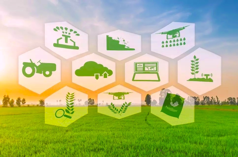 “La scuola della Terra”: le nuove esigenze dell’Agrifood nel progetto di FCI “La scuola della Terra”: le nuove esigenze dell’Agrifood nel progetto di FCI