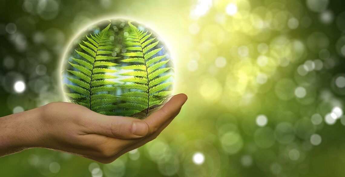 Follonica verso il futuro con l’energia Verde