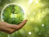 Follonica verso il futuro con l’energia Verde