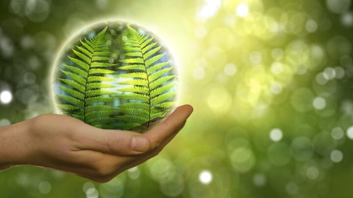 Follonica verso il futuro con l’energia Verde