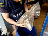 A Savona sequestrati 180 chili di hashish e marijuana, 4 arresti