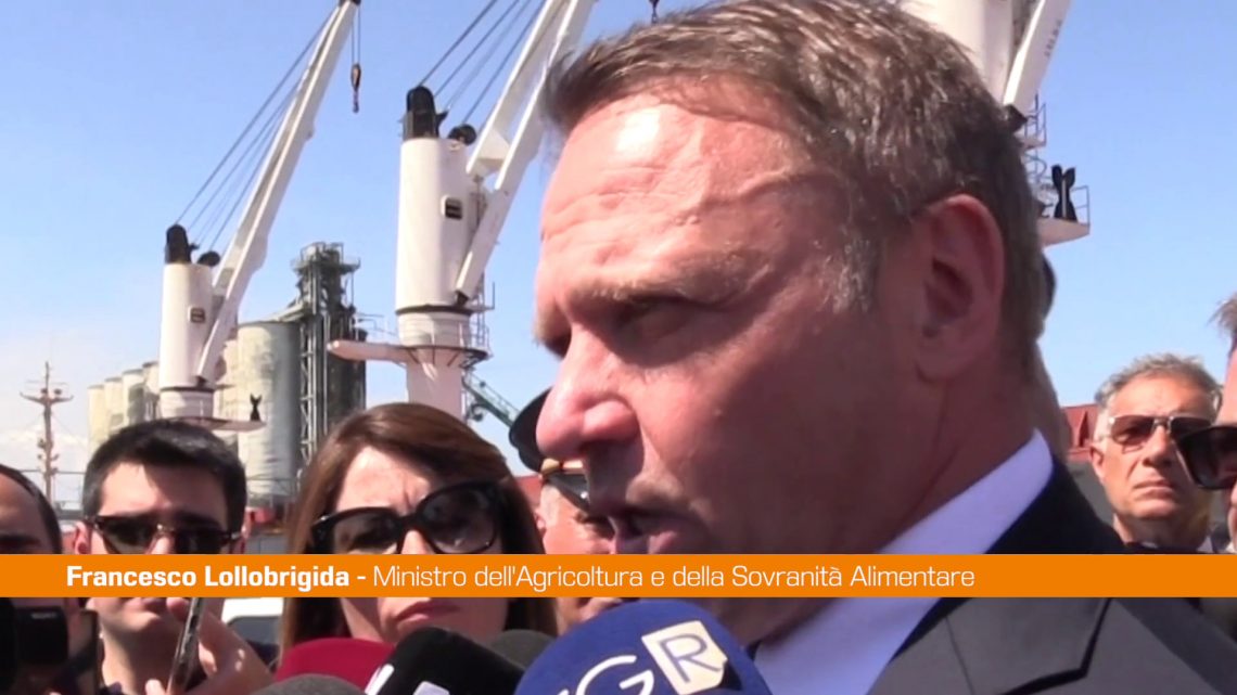 Lollobrigida “Il grano non può essere un’arma per la Russia” Lollobrigida “Il grano non può essere un’arma per la Russia”