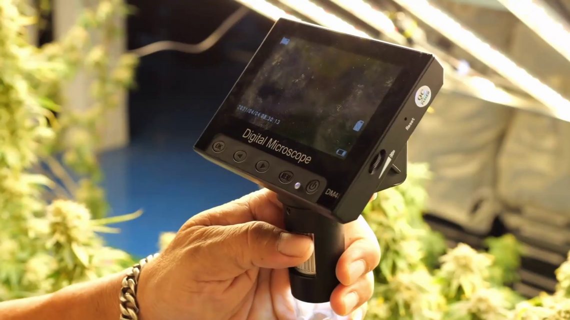 Agroalimentare, gap di competenze digitali da colmare Agroalimentare, gap di competenze digitali da colmare