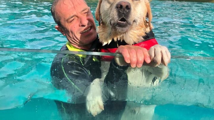 Sport a 2 e 4 zampe. A Zoomarine torna l’evento “Splash Dog” e una campagna per la sicurezza in acqua per i più piccoli.