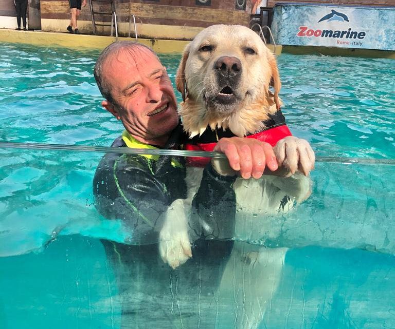 Sport a 2 e 4 zampe. A Zoomarine torna l’evento “Splash Dog” e una campagna per la sicurezza in acqua per i più piccoli. Sport a 2 e 4 zampe. A Zoomarine torna l’evento “Splash Dog” e una campagna per la sicurezza in acqua per i più piccoli.