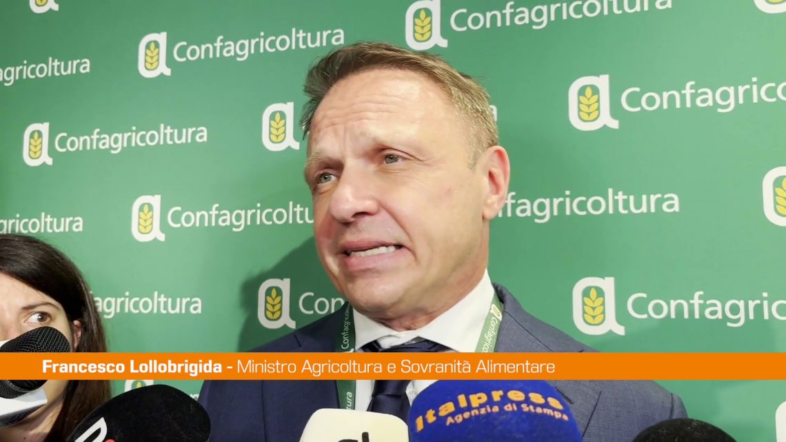 Green Deal, Lollobrigida “Superare visione estremista” Green Deal, Lollobrigida “Superare visione estremista”
