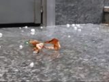 Maltempo, forte grandinata a Milano