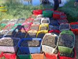 Ravenna, sequestrate vongole e 6 imbarcazioni per bracconaggio ittico