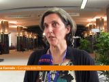 Ue, Corrado “Difendere l’ambizione del Green Deal”