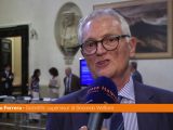 Ferrera “Struttura demografica Italia insostenibile nel medio periodo”