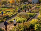 Agricoltura sociale: via al bando di Confagricoltura