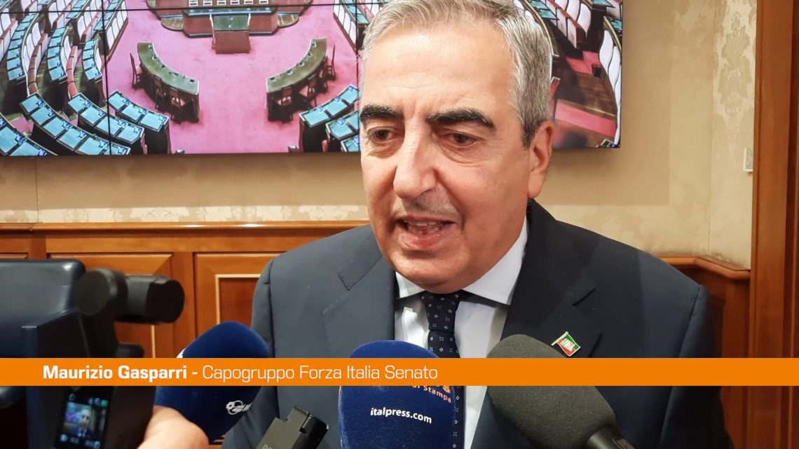 Gasparri “Reddito maternità per attuare legge 194, non è imposizione” Gasparri “Reddito maternità per attuare legge 194, non è imposizione”