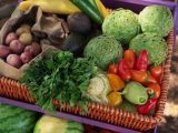 I prodotti di qualità garanzia di salute a tavola