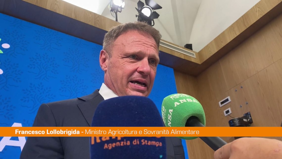 Granchio blu,Lollobrigida “Commissario Caterino servitore dello Stato” Granchio blu,Lollobrigida “Commissario Caterino servitore dello Stato”
