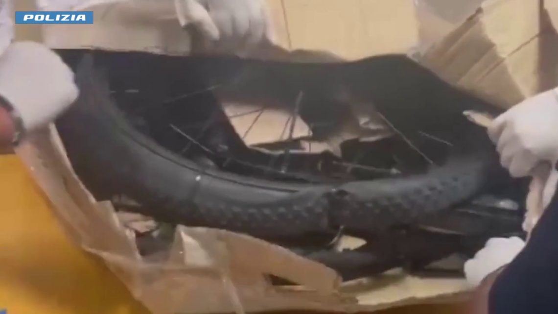 Sgominata a Milano banda dedita al furto di bici di lusso Sgominata a Milano banda dedita al furto di bici di lusso