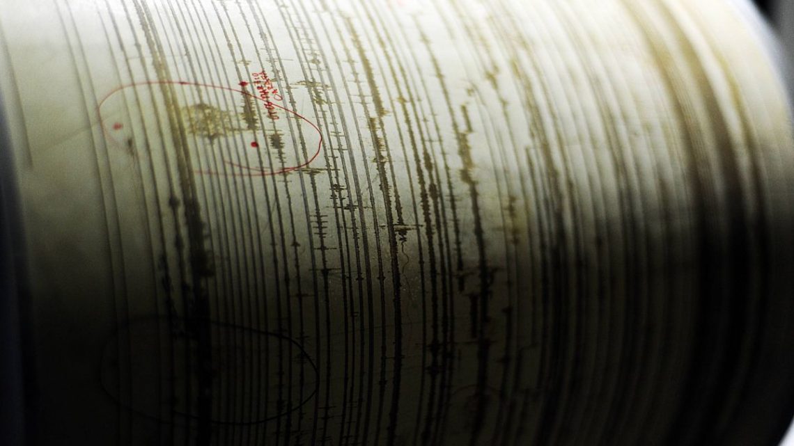 Terremoti, scossa di magnitudo 7.1 al largo del Giappone Terremoti, scossa di magnitudo 7.1 al largo del Giappone