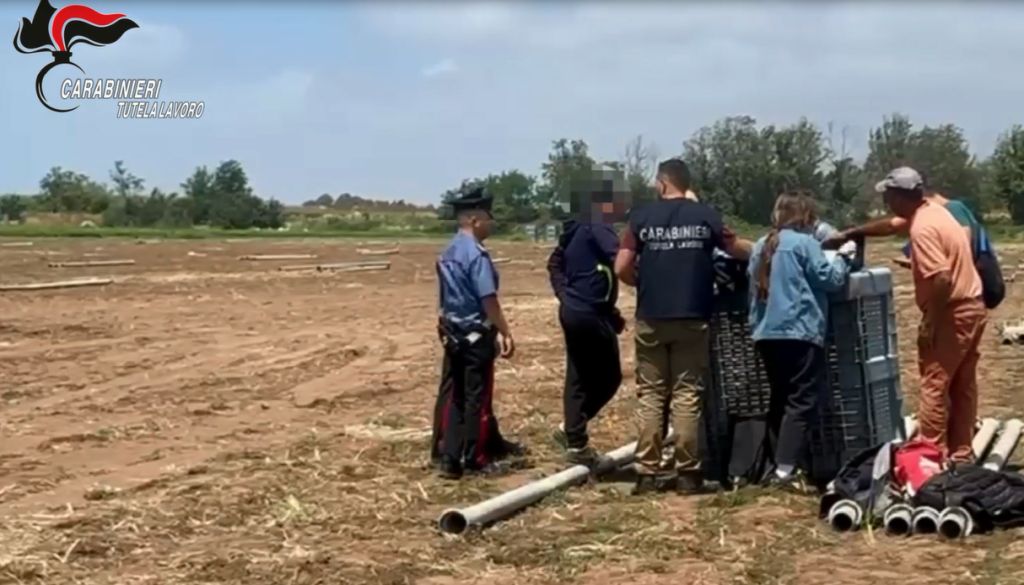 Blitz dei Carabinieri contro il Caporalato, il 53% delle aziende irregolari Blitz dei Carabinieri contro il Caporalato, il 53% delle aziende irregolari