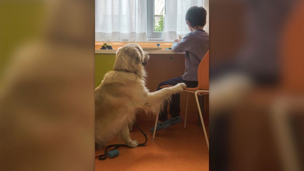 Purina insieme a Fridàs Friends per la Pet Therapy al Fatebenefratelli Purina insieme a Fridàs Friends per la Pet Therapy al Fatebenefratelli