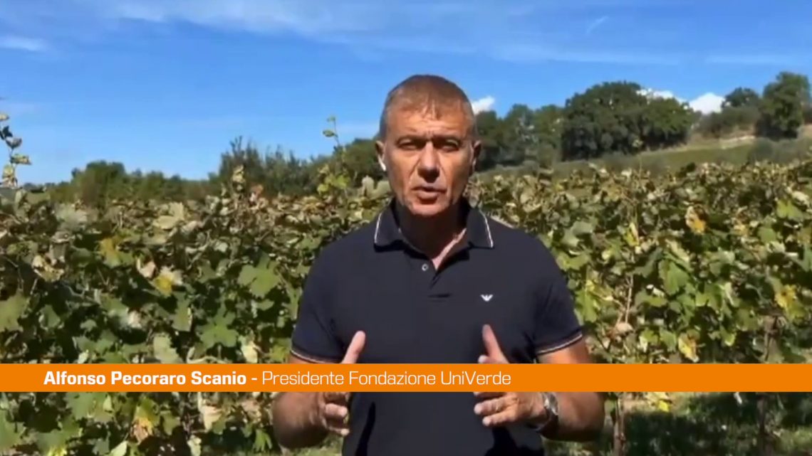 Clima, Pecoraro Scanio “Aiutare agricoltura e turismo a vincere sfida” Clima, Pecoraro Scanio “Aiutare agricoltura e turismo a vincere sfida”