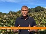 Clima, Pecoraro Scanio “Aiutare agricoltura e turismo a vincere sfida”