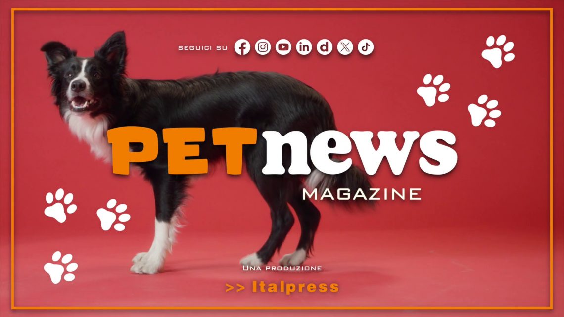 PetNews Magazine – 24/9/2024 PetNews Magazine – 24/9/2024