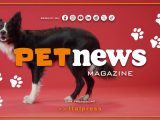PetNews Magazine – 24/9/2024