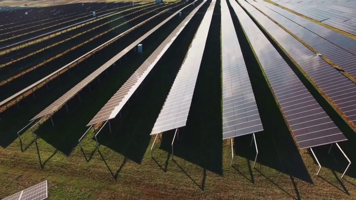 Pnrr, 600 richieste per bando agrivoltaico Pnrr, 600 richieste per bando agrivoltaico