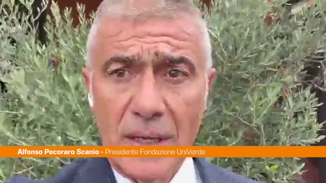 Pecoraro “Tutelare operatori sanitari e dare più risorse al settore” Pecoraro “Tutelare operatori sanitari e dare più risorse al settore”