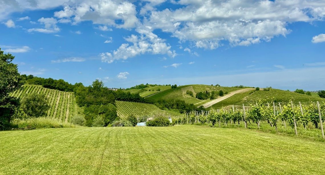 Weekend all’insegna dei sapori di Emilia: tanti appuntamenti tra Piacenza e Parma